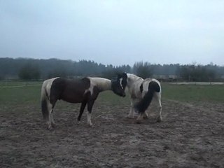 10.03.2012.u.integration