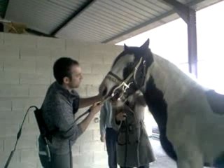 Scoubidou chez le dentiste