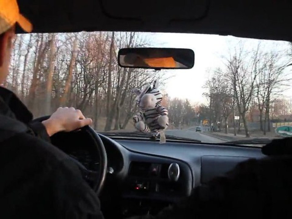 MVI_1571