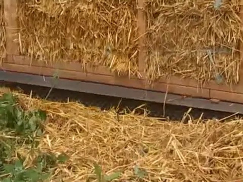 Naturel home : des maisons écologiques à la portée de tous...