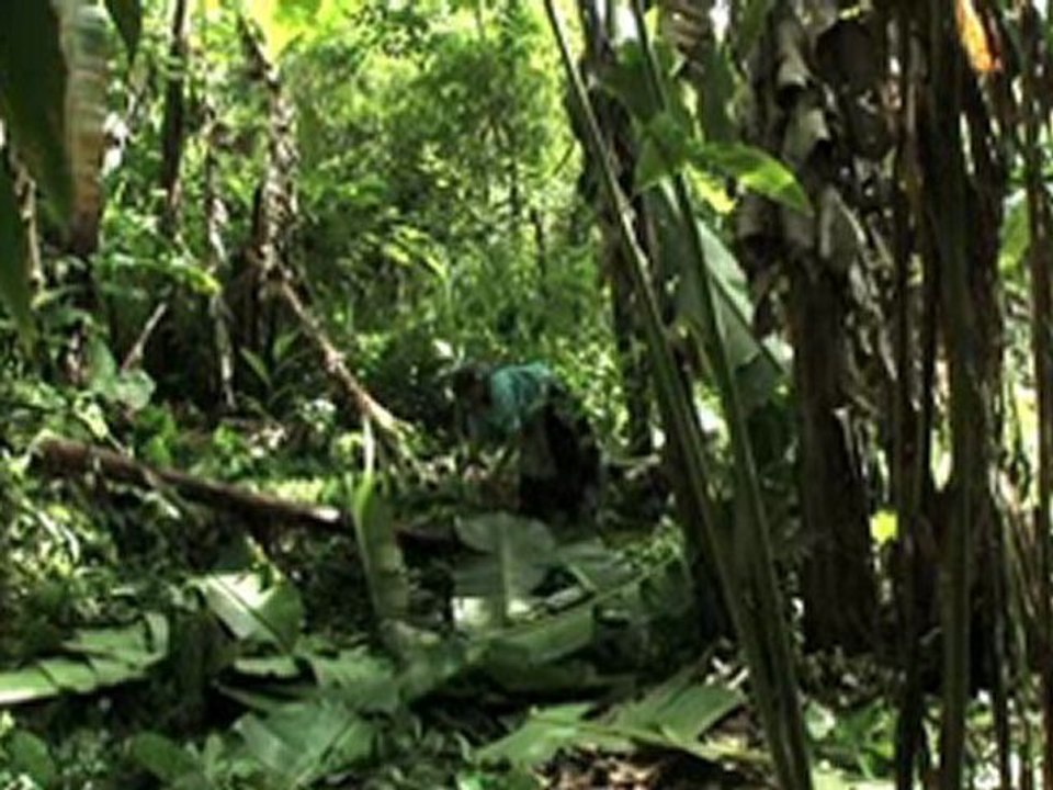 Bande-annonce Lecciones para una guerra.