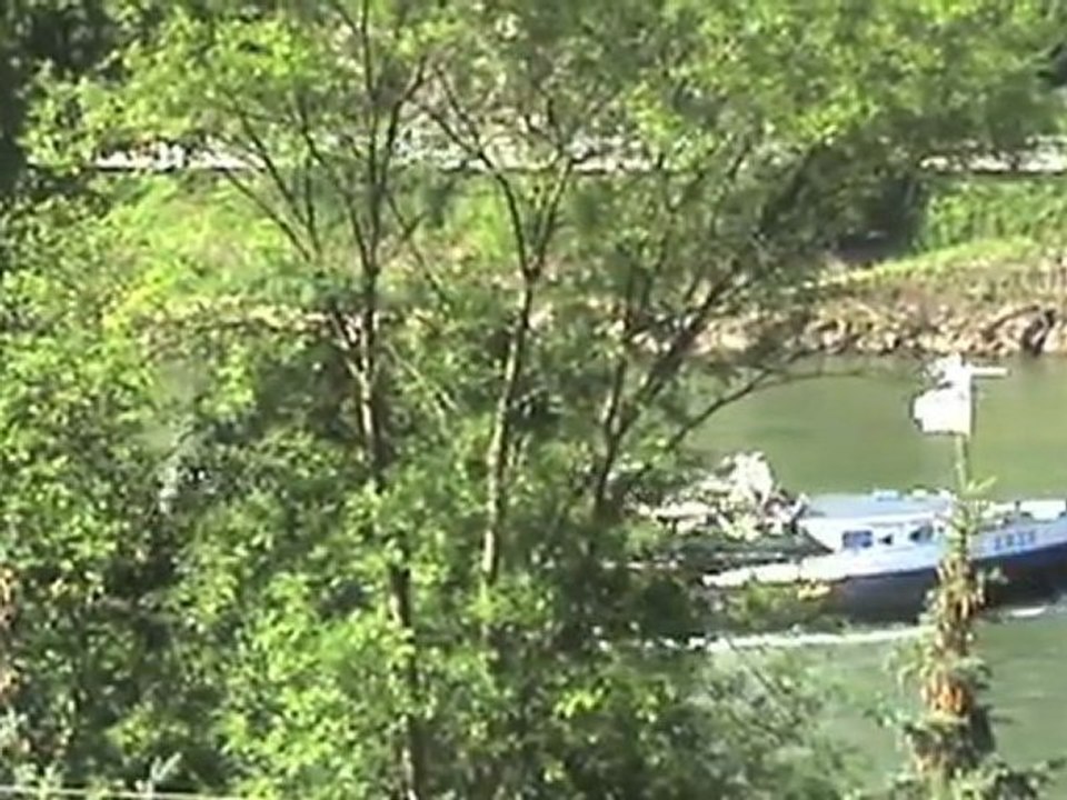 Bahnen südlich der Loreley, ICE, BR101, 2x SBB Cargo Re482, 2x BR185, 2x BR143, 2x BR428, BR427