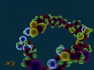 Evrim paneli cevap 4 - Evrim, anti-bilimdir