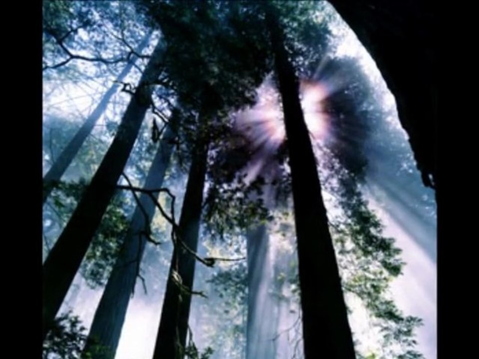 Appel  du  printemps .