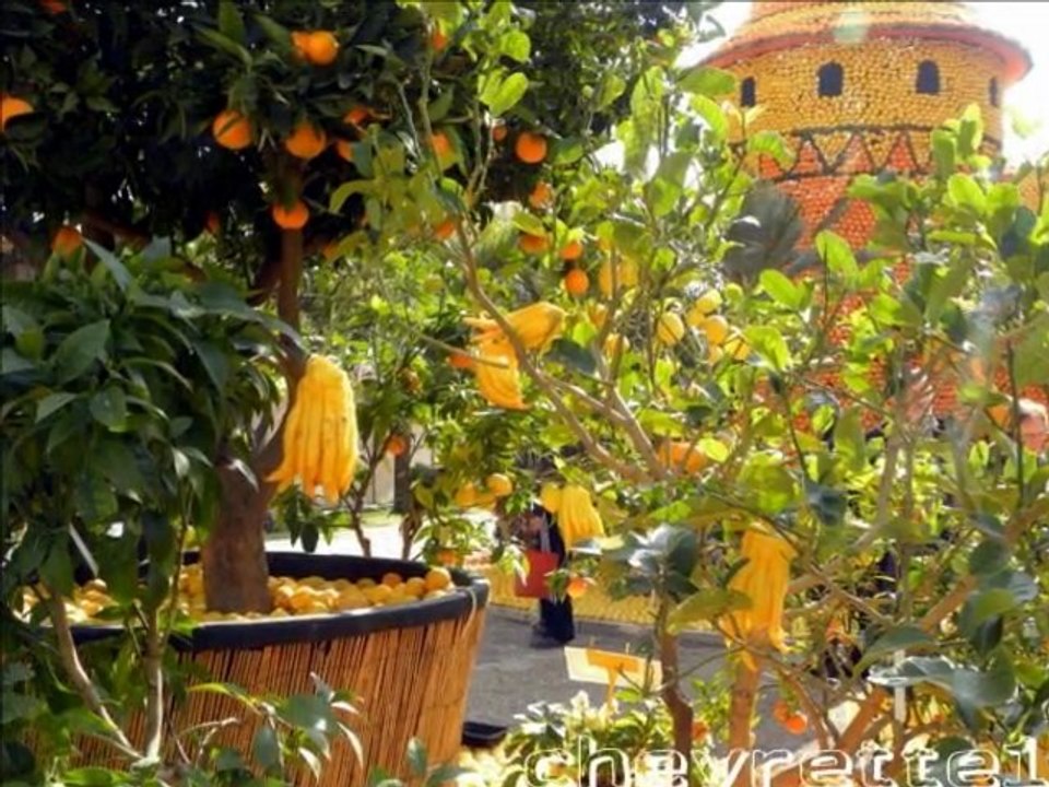 fête des citrons Menton (1)