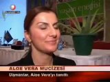 Aloe Vera Hakkında Uzmanların Görüşleri