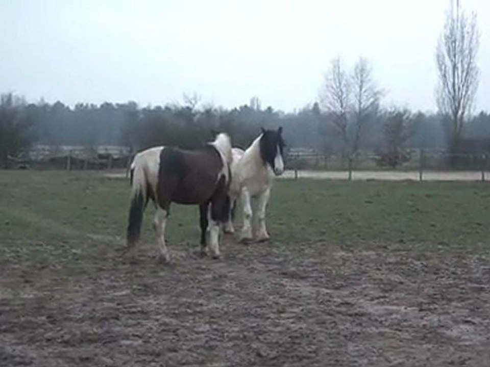 10.03.2012.w.integration