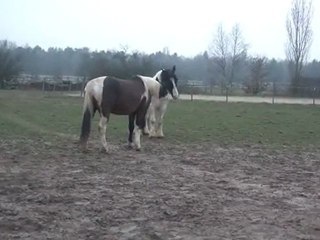 10.03.2012.x.integration