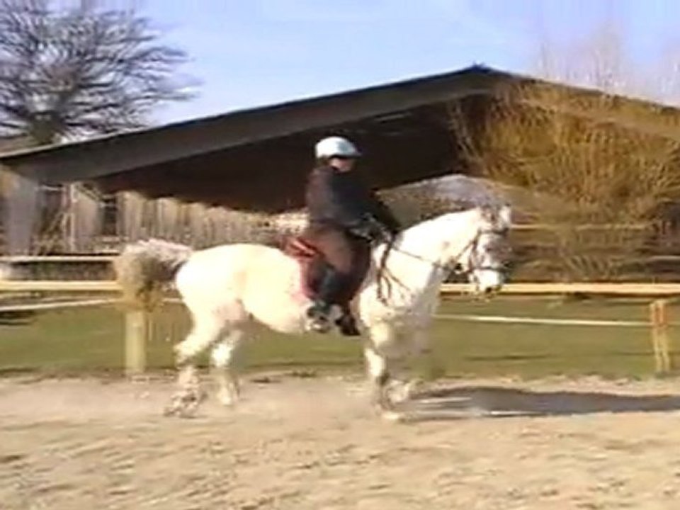 MOV024