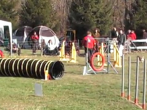 POINTIS DE RIVIERE ARTEMIS OPEN