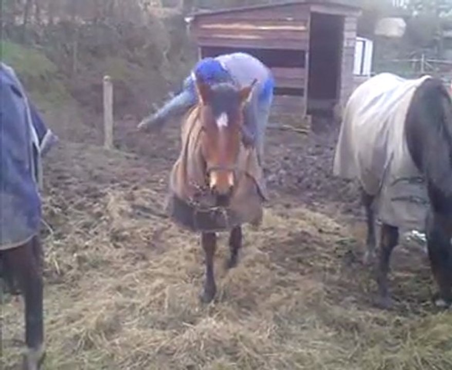 miss au montoir en liberté...