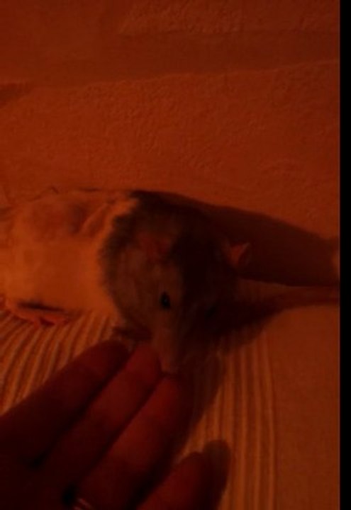 video-2012-03-12-21-41-37