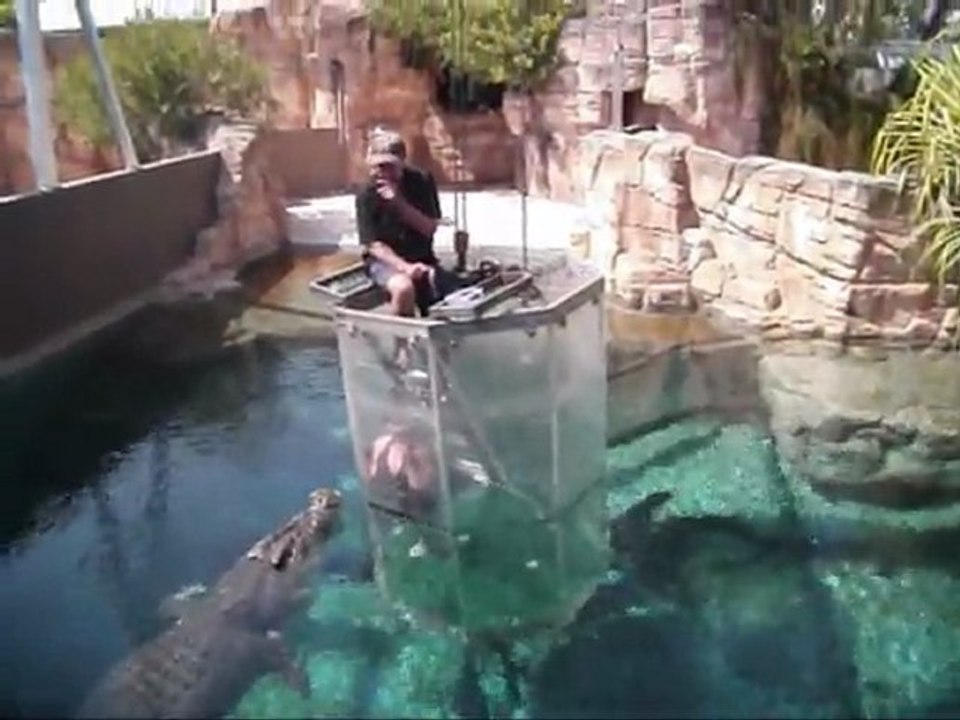 Darwin 1