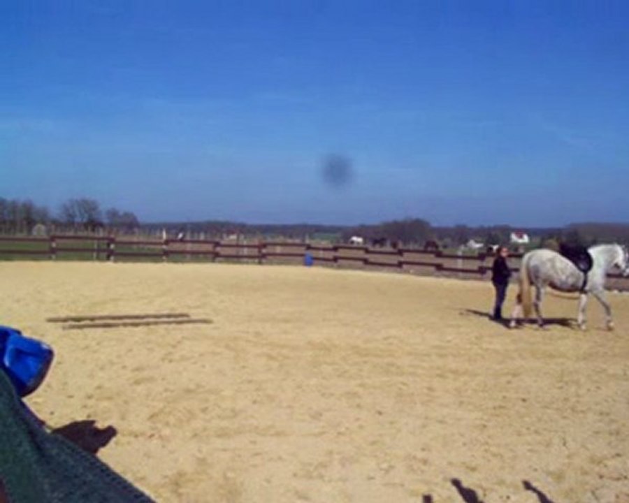 Essai Thorowgood longe