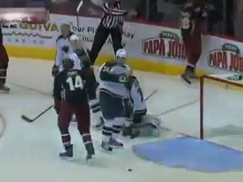 Phoenix Coyotes Lose to Wild