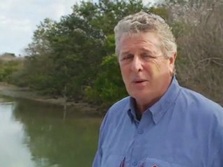 Boston Whaler - 210 Montauk