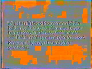 yıldıray çınar karanfilin cincini S.G.