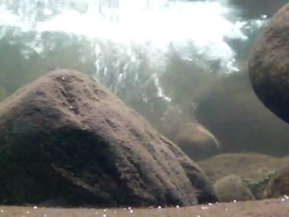 SANY0055