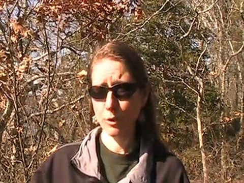 MLM Network Marketing Training What's the Difference Between Success and Failure in MLM?