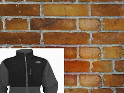 the north face jackets