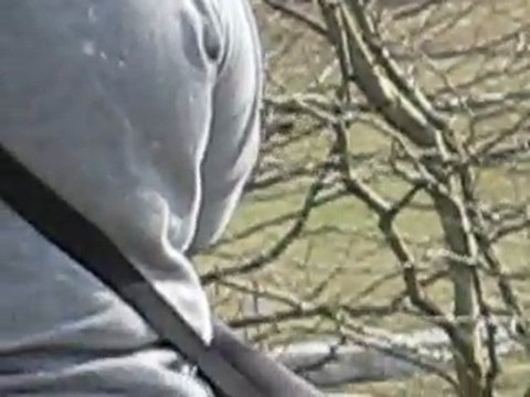 Takin CCE Montayral Club 2 (cross)