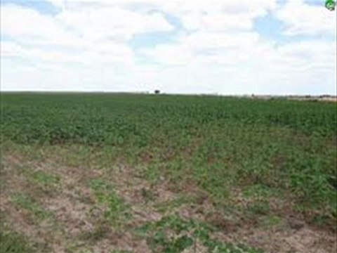 Kırklareli Pehlivanköy hıdırca satılık tarla- Tekirdağ Onay Emlak