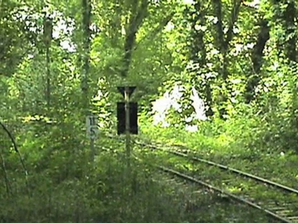 Angertalbahn (kalkbahn) bei flandersbach, ludmilla br232, gaf 100 r, oak - capital mak