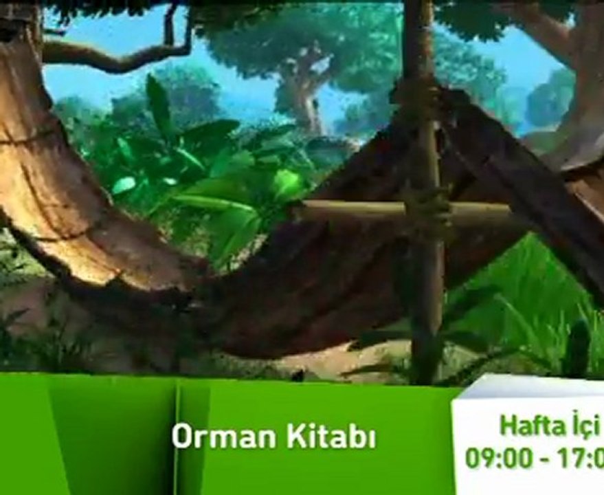 ORMAN KİTABI
