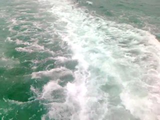 Martılar Ve istanbul