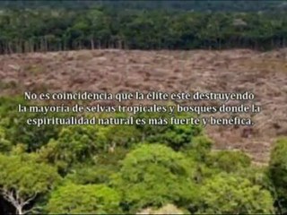 BIENVENIDO A LA REALIDAD- 8 MUNDO ESPIRITUAL II