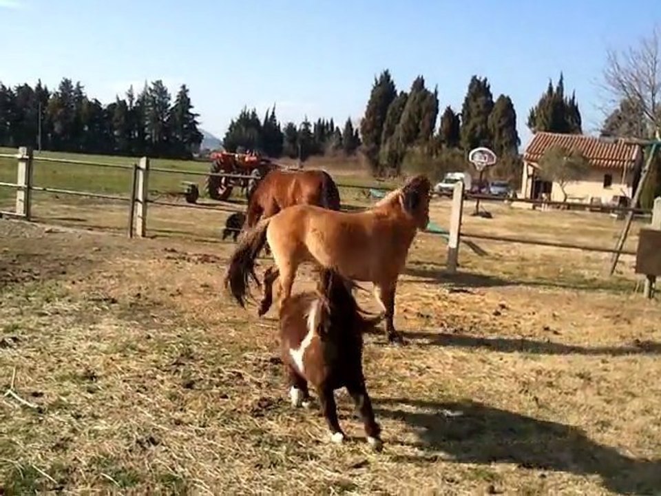 Melle Bando fait son show^^