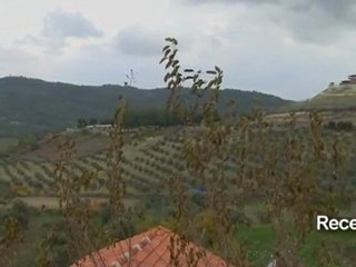 Annan expects Syria response