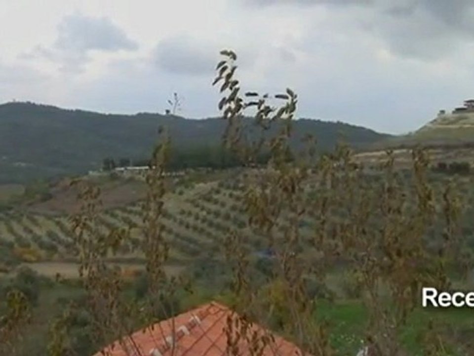 Annan expects Syria response