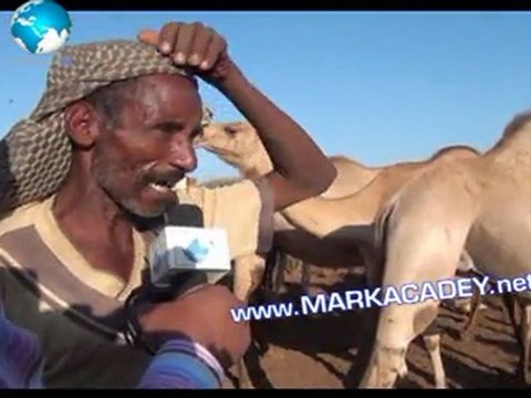 Barnaamijka Hereri Iyo Hargeysa Ee Fardoole - Somaliland