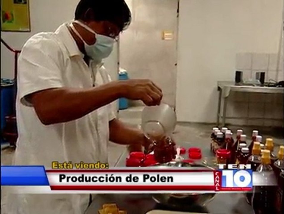 Recolección de polen. COAPIHL. Siguatepeque, Comayagua. 14 de febrero del 2012