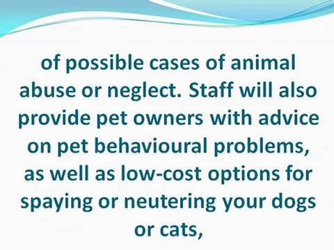 Enjoy Great Fashion and Support Homeless Animals at Fashion for Paws: An Important DC Charity