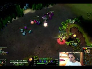 Ocelote et ses lunettes...