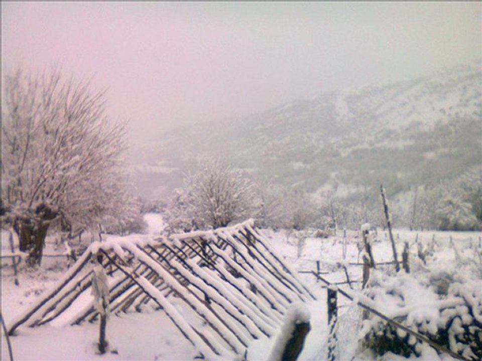 serhad payize
