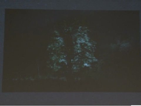 Tropical Malady, d’Apichatpong Weerasethakul - Jacques Aumont