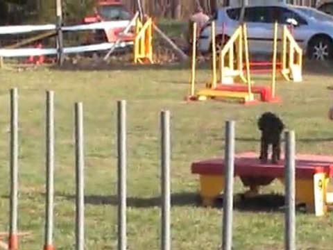 POINTIS DE RIVIERE COOKY OPEN