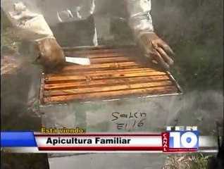 Apicultura familiar. El caso de APICOR en Corquín, Copán. 14 de febrero del 2012.