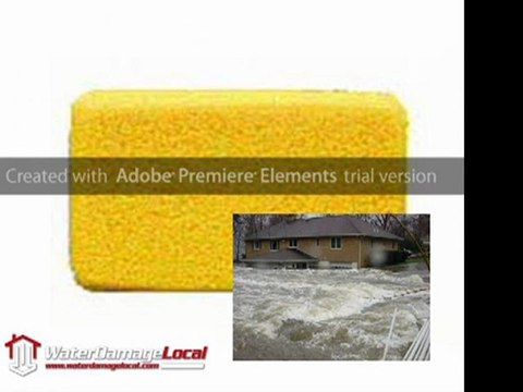 Water Damage Company San Diego