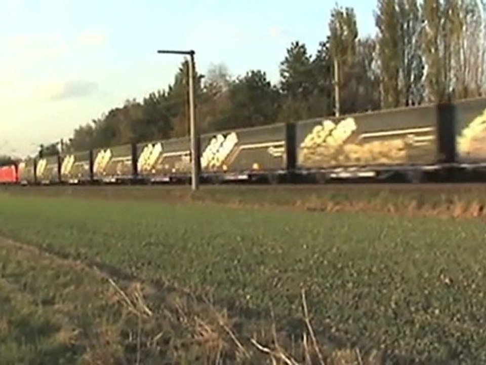 Linke Rheinstrecke Brühl - Walberberg, ICE II, 101, DBAG 185, Crossrail 185, 425, 111, 146, 460