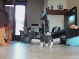 Handy pas envie d'aller dehors