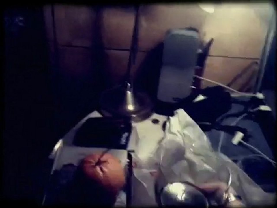 PARIS--Des Plaisirs simples