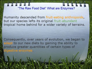 Raw Food Diet Enzymes What are they?