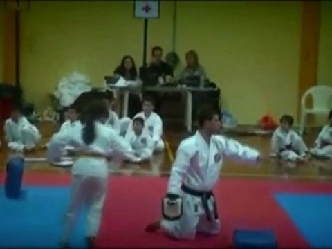 Α.Π.Σ. Πρωτοπόροι - Shito Ryu Karate Do