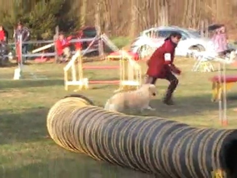 POINTIS DE RIVIERE CERISE GPF