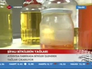 ENDEMİK BİTKİLER www.bios.tr.cx