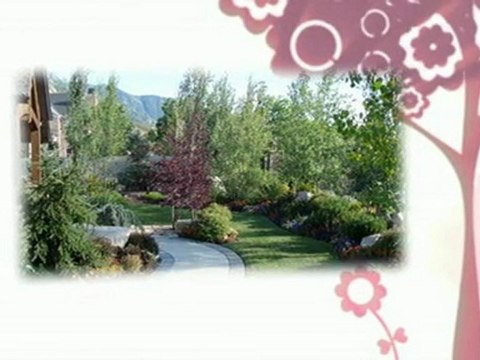 landscape solutions